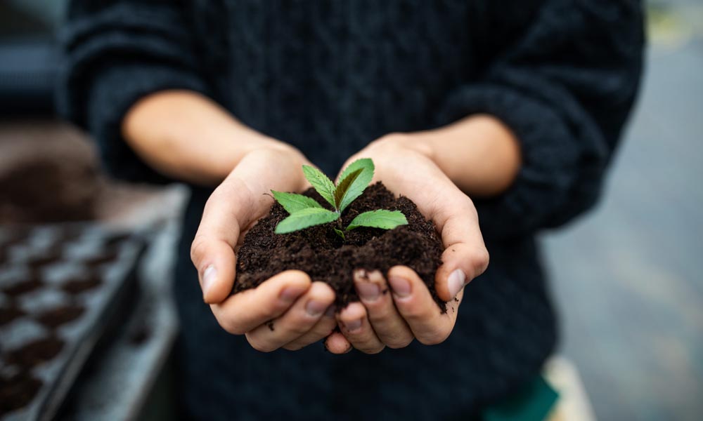 Classic Catering Menu